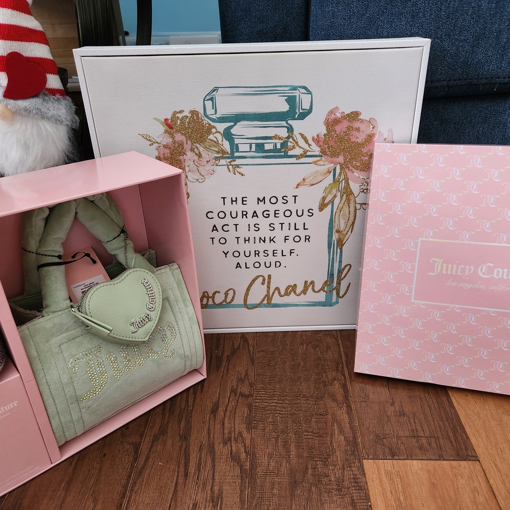 3 piece gift set!Juicy Couture light mint Green Satchel Bag